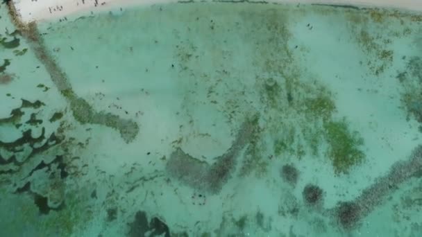 Vista aérea de catamarã, lancha e iate no mar do Caribe e ilha tropical — Vídeo de Stock