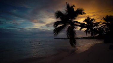 Palmiye ağaç kumlu plaj gündoğumu silüeti manzara. Punta Cana beach