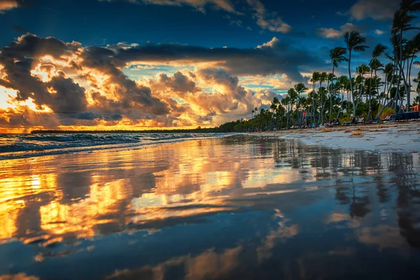 Palmboom op het tropische strand — Stockfoto