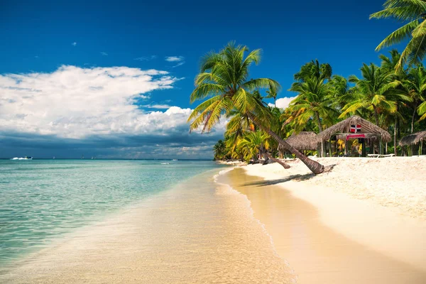 Tropisk strand på Saona ö, Dominikanska Republiken — Stockfoto