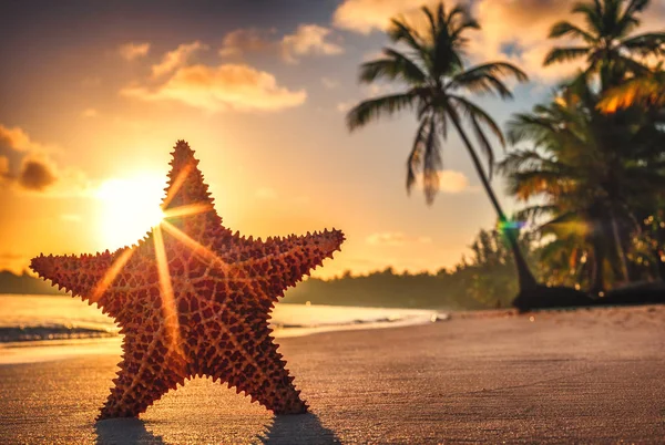 Seastar nebo moře hvězdice stojící na pláži. — Stock fotografie