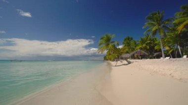 Tropik ada plaj ve palmiye ağaçları. Saona Island, Dominik Cumhuriyeti