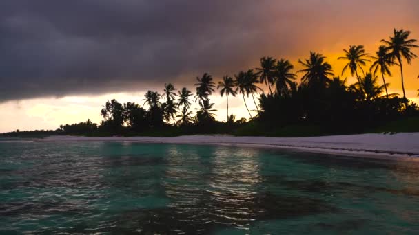 景观的天堂的热带岛屿海滩蓬塔卡纳，多米尼加共和国 — 图库视频影像