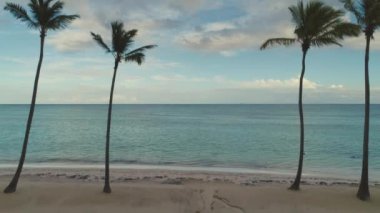 Tropik ada Beach, Punta Cana ve palmiye ağaçlarının havadan görünümü