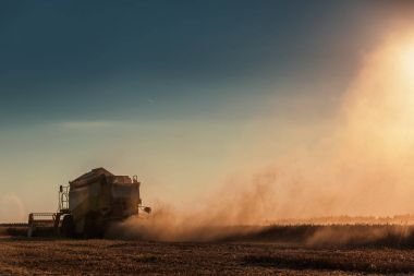 Altın olgun whe hasat hasat Tarım makineleri birleştirmek