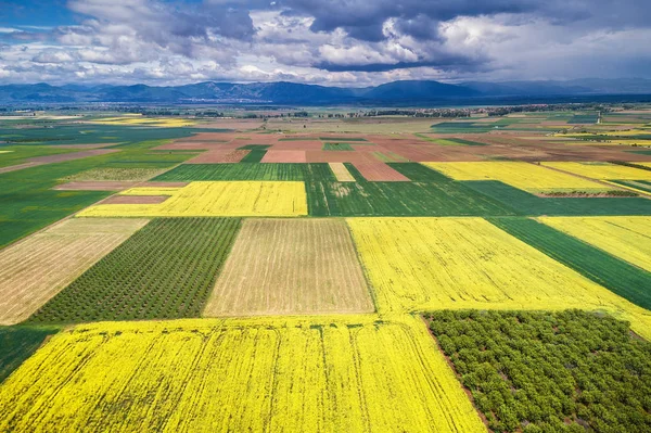 Vista aérea sobre los campos agrícolas —  Fotos de Stock