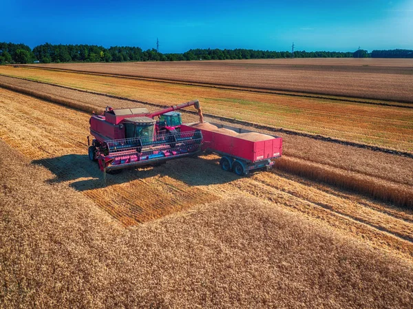 Aerial view of Combine harvester agriculture machine harvesting — Stock Photo, Image