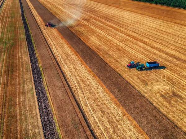 A légi felvétel a össze harvester mezőgazdasági gépi betakarítás — Stock Fotó