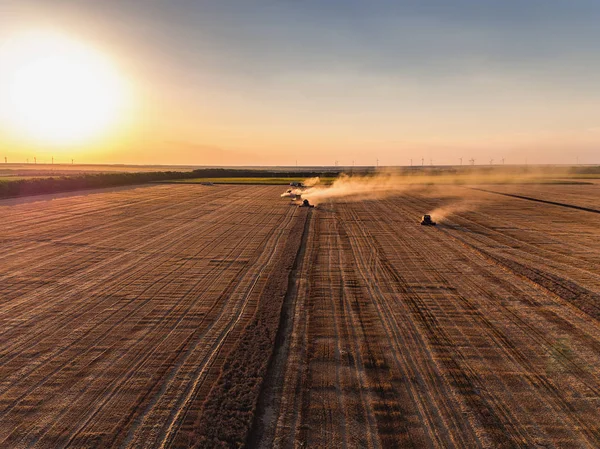 Aerial view of Combine harvester agriculture machine harvesting — Stock Photo, Image