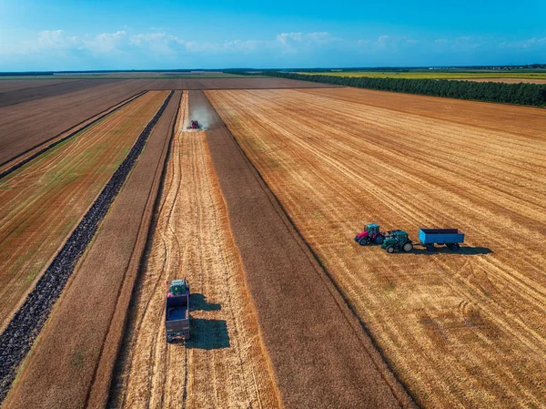 Повітряний вид збирання сільськогосподарської техніки комбайна — стокове фото