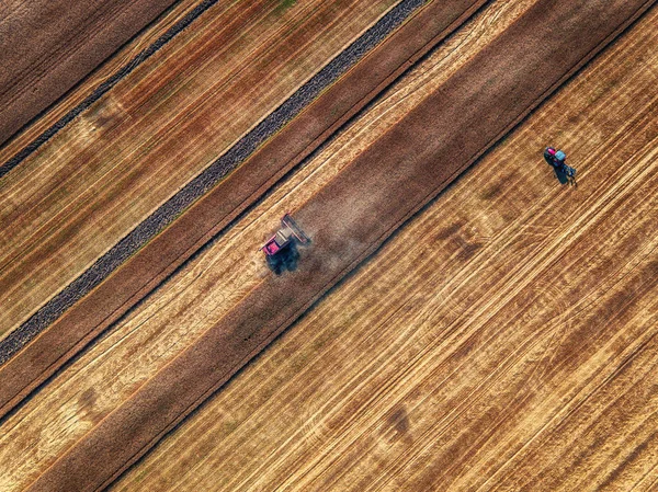 Vista aérea da colheitadeira Combine agricultura máquina de colheita — Fotografia de Stock