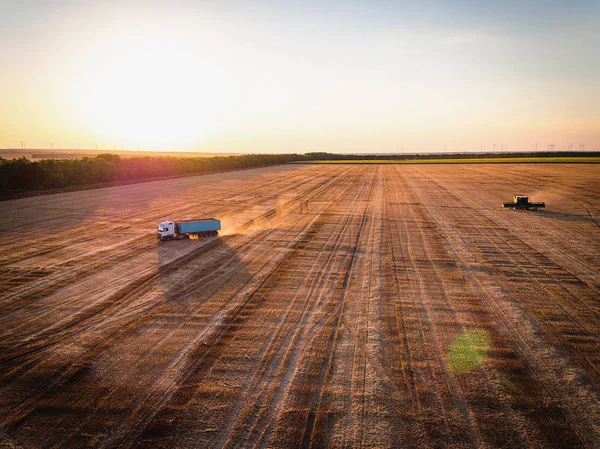 Aerial view of Combine harvester agriculture machine harvesting — Stock Photo, Image