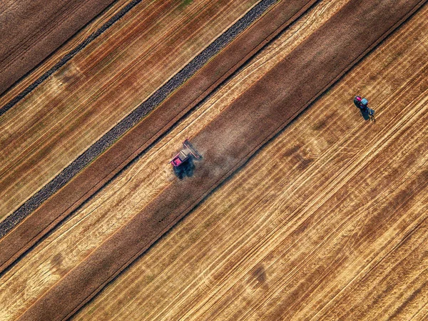 Vista aérea da colheitadeira Combine agricultura máquina de colheita Imagens De Bancos De Imagens