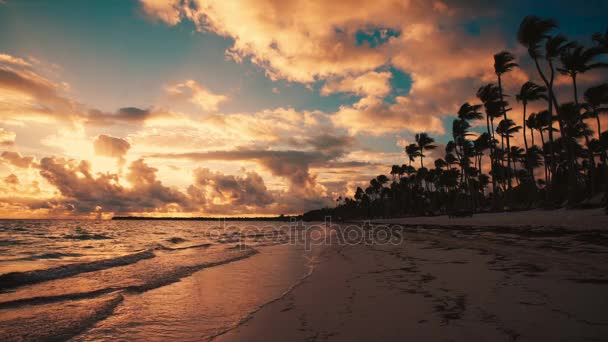Punta Cana golden sunrise na plaży — Wideo stockowe