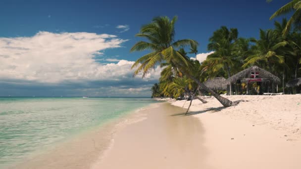 Summer holiday on tropical island Saona, Dominican Republic. Palm trees and beautiful sandy beach — Stock Footage Summer holiday on tropical island Saona, Dominican Republic. Palm trees and beautiful sandy beach Stock Footage