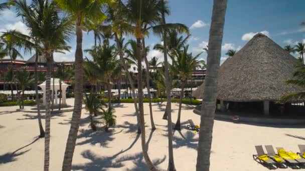 Palmen, Liegestühle, weißer Sand, Pools am Strand von Punta Cana. Luxus-Resort. — Stockvideo
