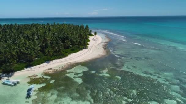 Luftbild vom schönen tropischen Inselstrand. saona, dominikanische republik. — Stockvideo