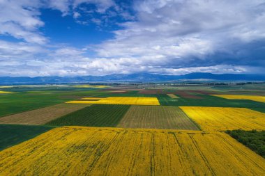 Tarımsal alanların üzerinde hava manzarası 