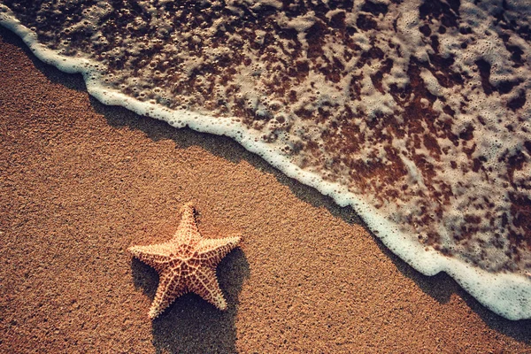 Mare o stelle marine in piedi sulla spiaggia e l'onda dell'oceano — Foto Stock