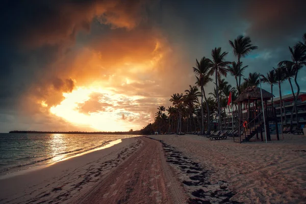 Пальми і тропічний пляж в Пунта Кана, Домініканська Республіка — стокове фото