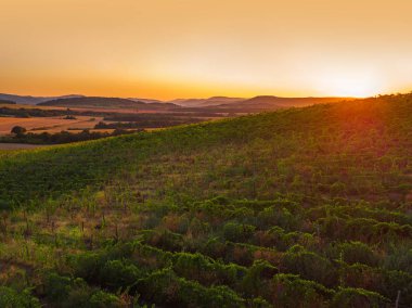 Avrupa, havadan görünümü bağ üzerinde güzel gün batımı