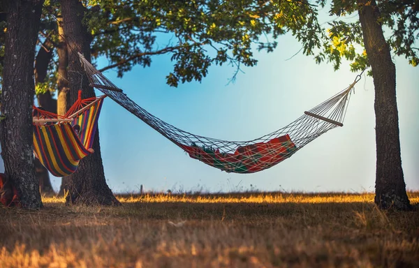 Ormandaki renk seyahat hamakta rahatlatıcı