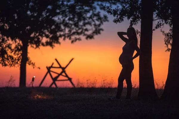 Silhuetten av en gravid flicka i ett fält vid solnedgången — Stockfoto