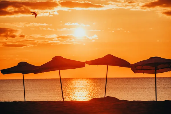 Silueta plážové slunečníky — Stock fotografie
