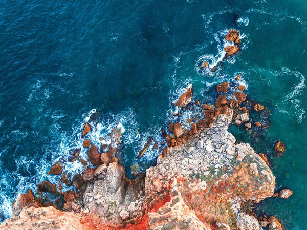 Luftaufnahme der felsigen Küste mit Erntefeldern und abstürzenden Bäumen — Stockfoto