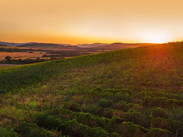 Avrupa, havadan görünümü bağ üzerinde güzel gün batımı