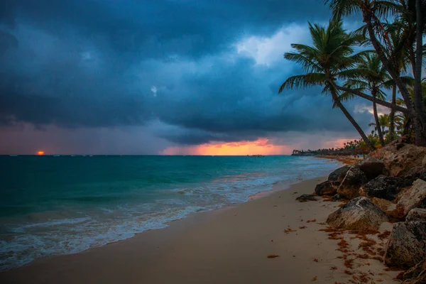 Palma e praia tropical em San Cristóbal, República Dominicana — Fotografia de Stock