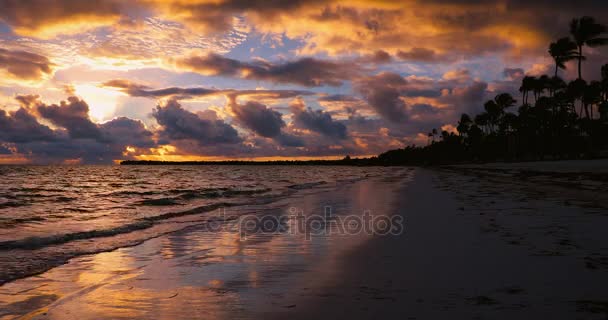 Tropische Landschaft der paradiesischen Insel Strand Punta Cana, Dominikanische Republik — Stockvideo