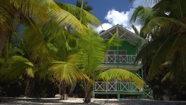 Palmiers sur la plage tropicale — Video