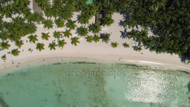 パラダイスビーチの熱帯の島の空撮。ビーチに面したプンタ カナ. — ストック動画
