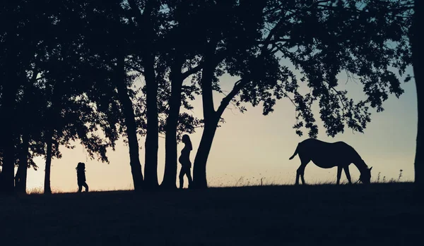 Silhouet van een zwangere vrouw, klein meisje, paard en bomen. Prachtige zonsondergang landschap — Stockfoto