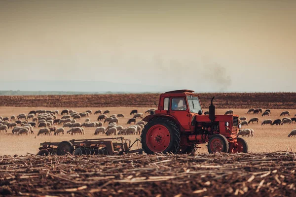 Agriculteur en tracteur préparant des terres avec cultivateur de lit de semence — Photo