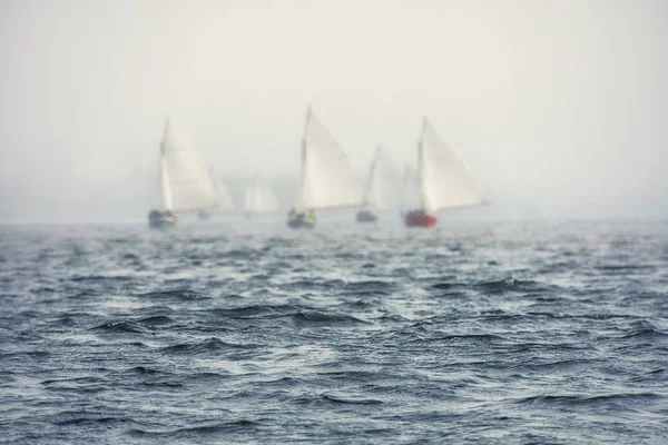 Sailing boats regatta with white sails — Stock Photo, Image