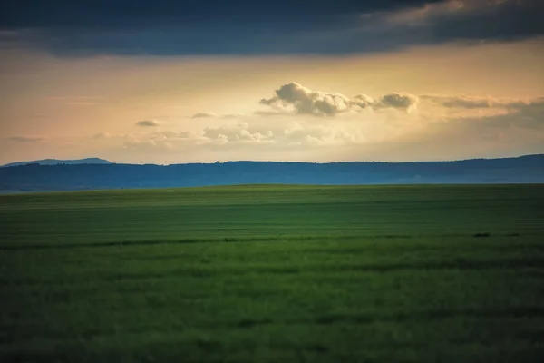 Весняний пейзаж з пшенична сфера та хмари — стокове фото