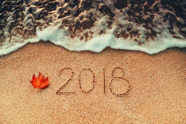 Mutlu yeni yıl 2018 kavramı deniz sahilde; ateş sunrsie — Stok fotoğraf
