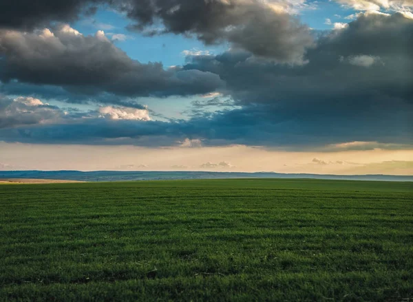 麦畑と雲と春の風景 — ストック写真