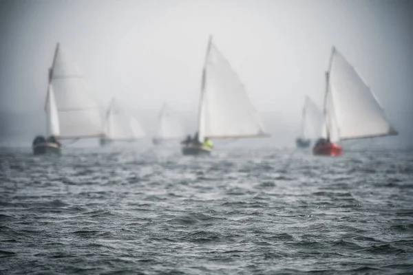 Regata di barche a vela con vele bianche in mare — Foto Stock