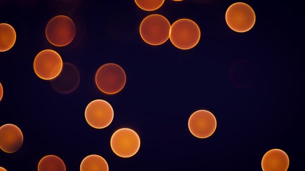 Sfocato Bokeh Natale Luci Astratto Sfondo Video — Video Stock