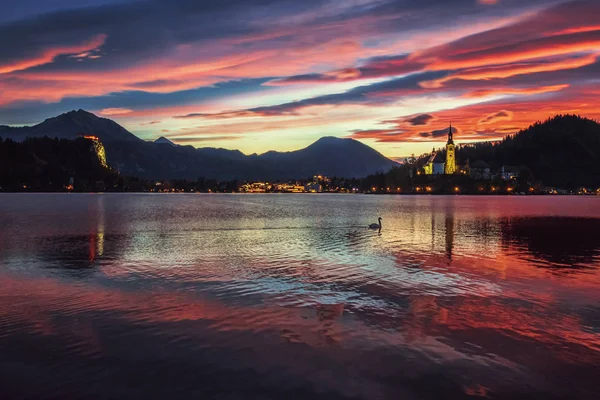 Soluppgång vid den vackra sjön Bled med swan, Slovenien — Stockfoto