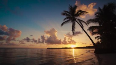 Tropik ada plaj ve palmiye ağacı siluet üzerinde gündoğumu. Punta Cana resort, Dominik Cumhuriyeti