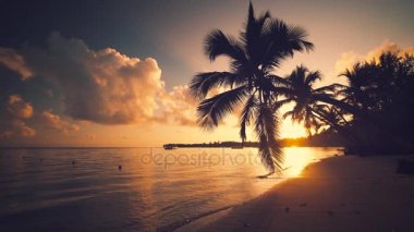 Sunrise tropik ada beach, Karayip Denizi ve güzel yeşil palmiye ağaçları