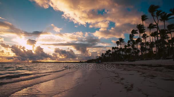 楽園熱帯の島ビーチ プンタカナ ドミニカ共和国の日の出風景 — ストック動画