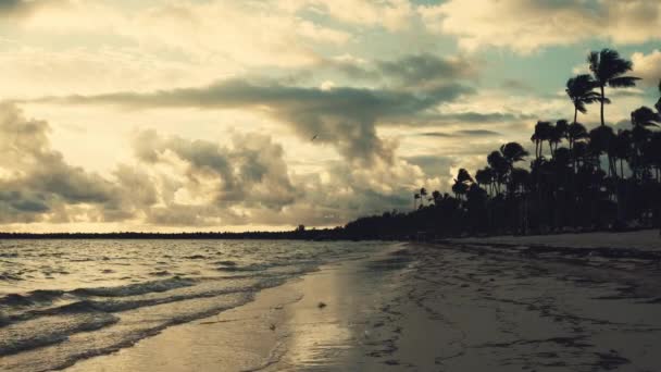 Alba Paesaggio Paradisiaco Spiaggia Tropicale Dell Isola Punta Cana Repubblica — Video Stock