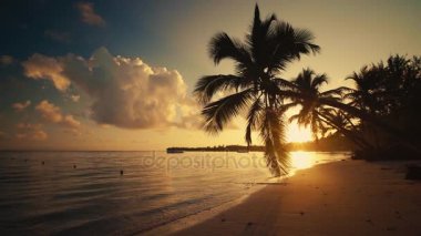 Sunrise tropik ada beach, Karayip Denizi ve güzel yeşil palmiye ağaçları