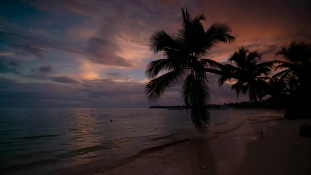 Sunset Sea View Tropical Island Beach Punta Cana Resort Dominican — Stock Video