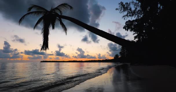 Východ Slunce Nad Tropický Ostrov Beach Palmový Strom Punta Cana — Stock video